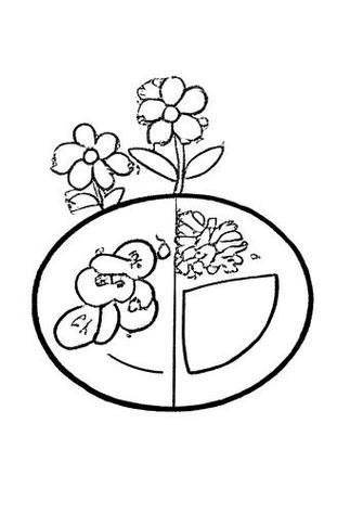 盘子花纹简笔画
