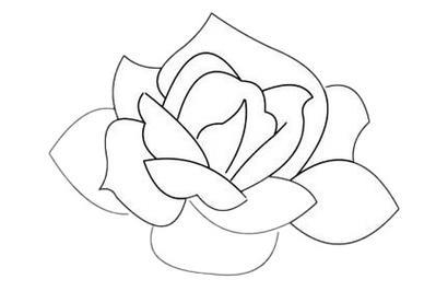 月光花简笔画大全