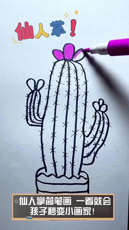 仙人掌简笔画一看就会孩子秒变小画家