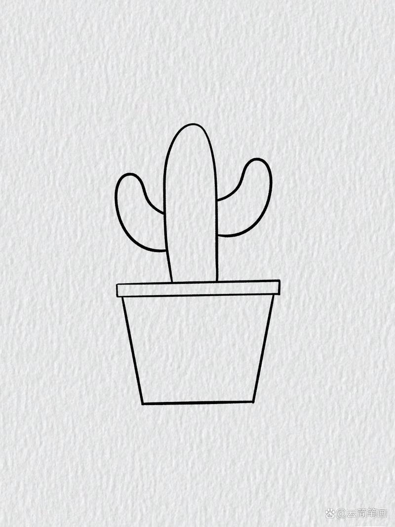 一盆仙人掌简笔画教程简笔画儿童画仙人掌绘画过程