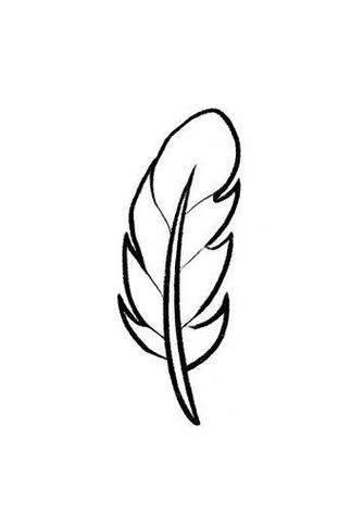 羽毛简笔画