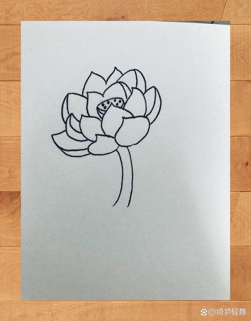 荷花简笔画教程植物篇87