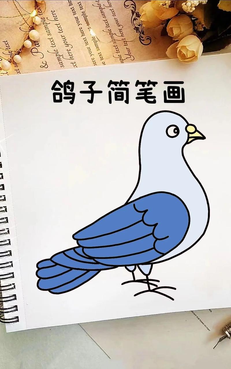 鸽子简笔画