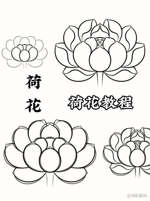 荷花荷花黑白线稿荷花怎么背荷花风景线稿画荷花花瓣简笔画荷花