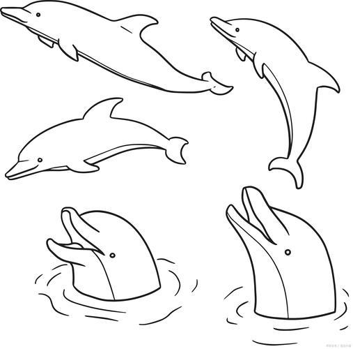 简单海豚简笔画可爱简笔画海豚怎么画海豚