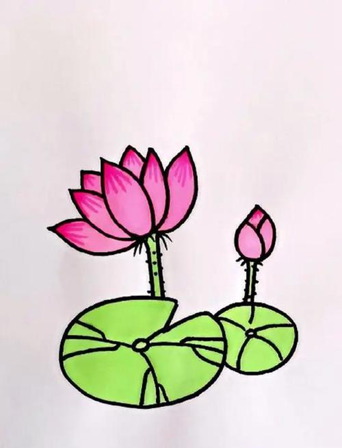 来啦简单几笔画出荷花图